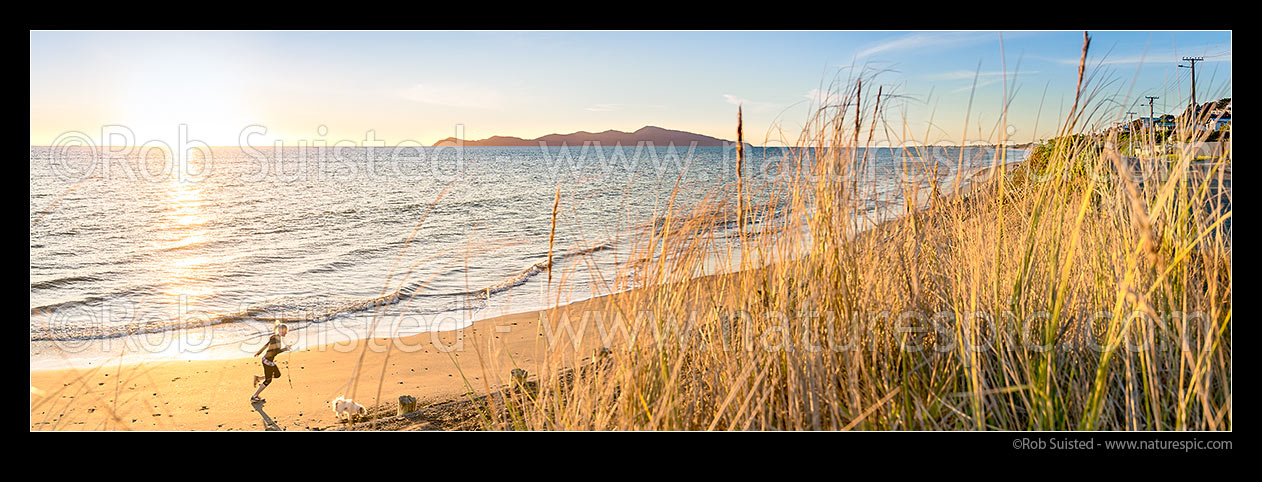 Image of Paekakariki's Whareroa Beach and Kapiti Island in afternoon, with woman running dog on beach. Panorama, Paekakariki, Kapiti Coast District, Wellington Region, New Zealand (NZ) stock photo image