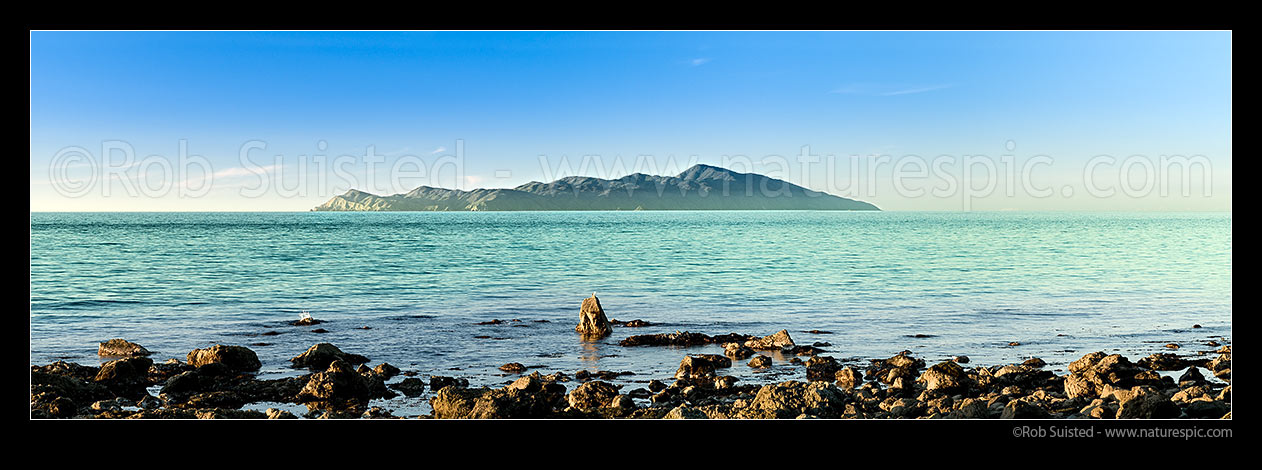 Image of Kapiti Island offshore of Pukerua Bay (high point is Tuteremoana 521m). Rauoterangi Channel (Otaheke Strait). Panorama, Pukerua Bay, Porirua City District, Wellington Region, New Zealand (NZ) stock photo image