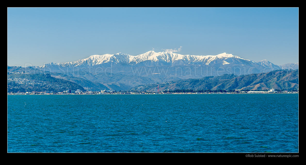 Image of Snow clad Tararua Ranges high above the Hutt Valley and Petone beach and foreshore. Mt Hector (1529m) highest point on southern main range. Panorama, Hutt Valley, Hutt City District, Wellington Region, New Zealand (NZ) stock photo image