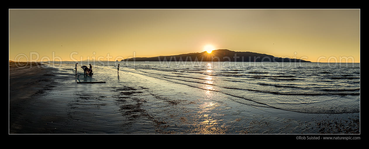 Image of Kapiti Island sunset with local fishermen clearing a drag net for flounders on Paraparaumu Beach. Panorama, Paraparaumu, Kapiti Coast District, Wellington Region, New Zealand (NZ) stock photo image