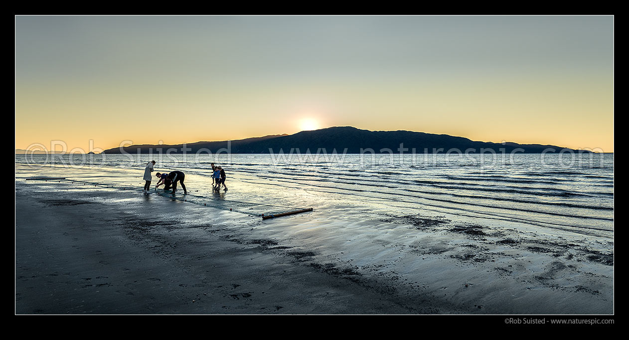 Image of Family checking their fishing net for fish, as the sun sets behind Kapiti Island Nature Reserve. Panorama, Paraparaumu, Kapiti Coast District, Wellington Region, New Zealand (NZ) stock photo image