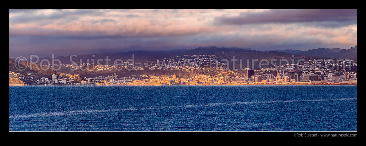 Image of Wellington City panorama seen across Wellington Harbour from Petone with long lens. Oriental Bay at left, CBD and port at right, Wellington, Wellington City District, Wellington Region, New Zealand (NZ) stock photo image