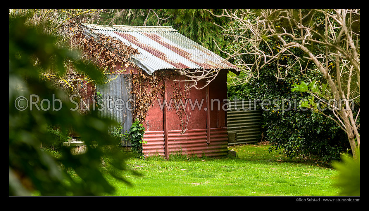 Image of Garden shed amongst an established backyard garden. Panorama, New Zealand (NZ) stock photo image