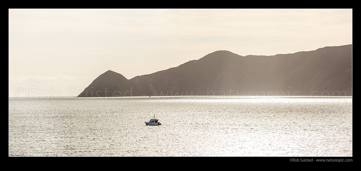 Image of Cape Koamaru and Te Huahua Bay at entrance to Queen Charlotte Sound, on Arapaoa (Arapawa) Island. Local fishing launch passing. Panorama, Marlborough Sounds, Marlborough District, Marlborough Region, New Zealand (NZ) stock photo image