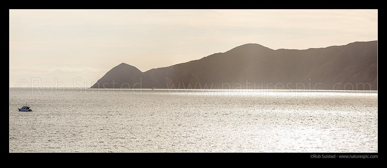 Image of Cape Koamaru and Te Huahua Bay at entrance to Queen Charlotte Sound, on Arapawa Island. Local fishing launch passing. Panorama, Marlborough Sounds, Marlborough District, Marlborough Region, New Zealand (NZ) stock photo image