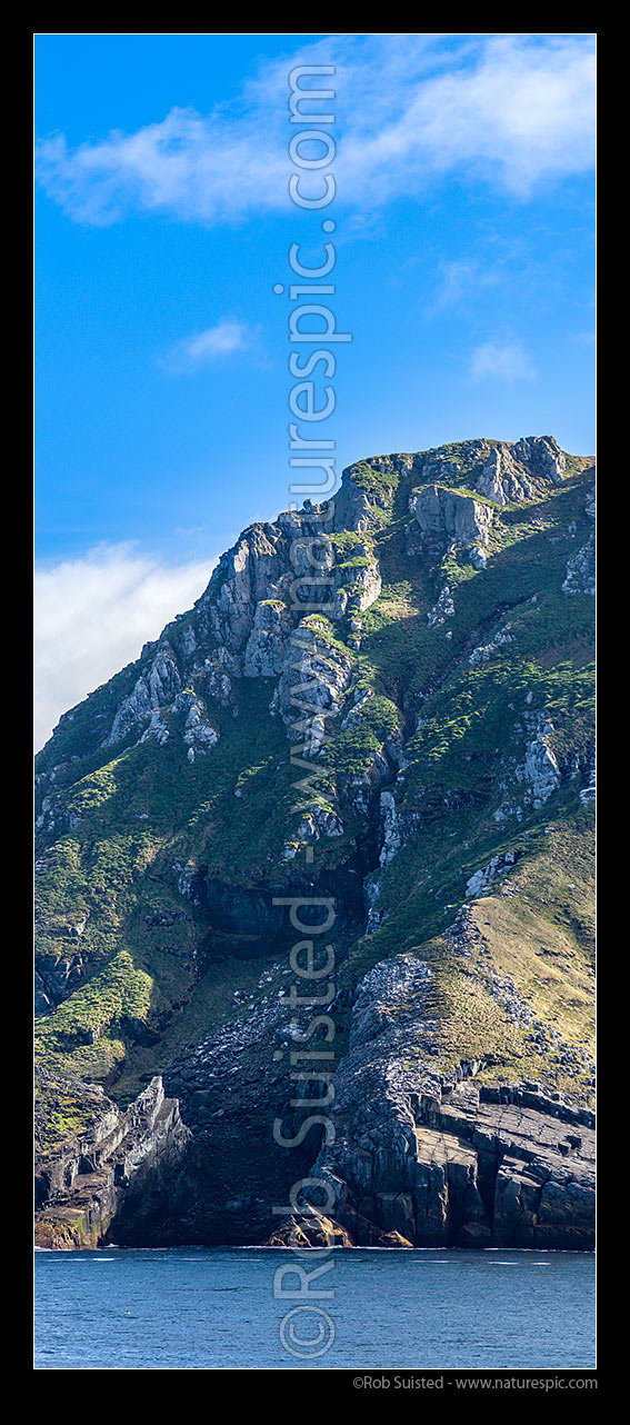 Image of Cape Horn (Cabo de Horno),  southernmost headland of Tierra del Fuego archipelago, on Hornos Island. Vertical panorama, Cape Horn, Chile stock photo image