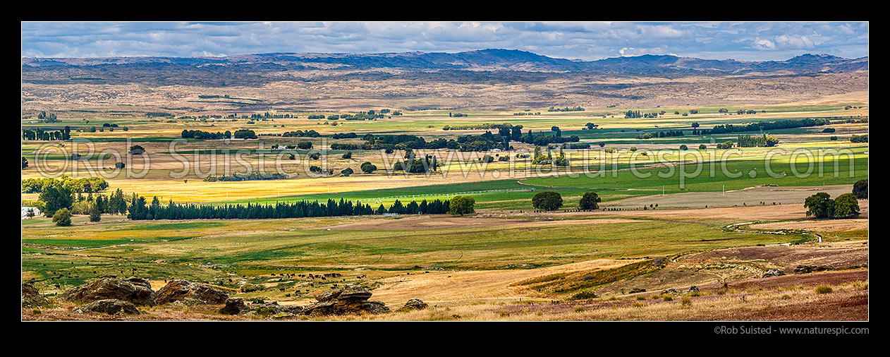 Image of Irrigation in the Ida Valley (Ida Burn), with Rough Ridge Range beyond. Irrigation brings more intensive farming practices such as dairy farming, Poolburn, Central Otago District, Otago Region, New Zealand (NZ) stock photo image