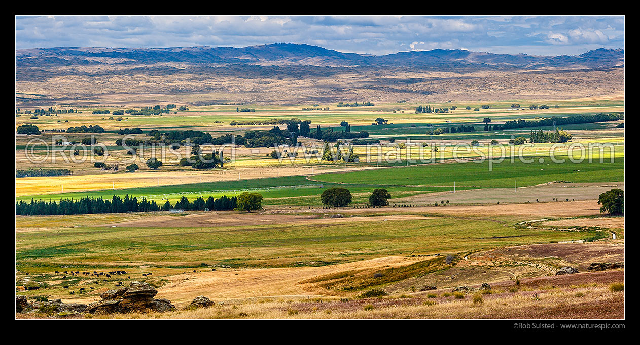 Image of Irrigation in the Ida Valley (Ida Burn), with Rough Ridge Range beyond. Irrigation brings more intensive farming practices such as dairy farming, Poolburn, Central Otago District, Otago Region, New Zealand (NZ) stock photo image