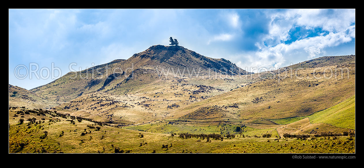 Image of Flat Cap peak (804m) on farmland on the toe of the Rock and Pillar Range. Panorama, Kokonga, Central Otago District, Otago Region, New Zealand (NZ) stock photo image