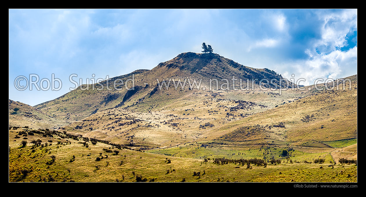 Image of Flat Cap peak (804m) on farmland on the toe of the Rock and Pillar Range. Panorama, Kokonga, Central Otago District, Otago Region, New Zealand (NZ) stock photo image