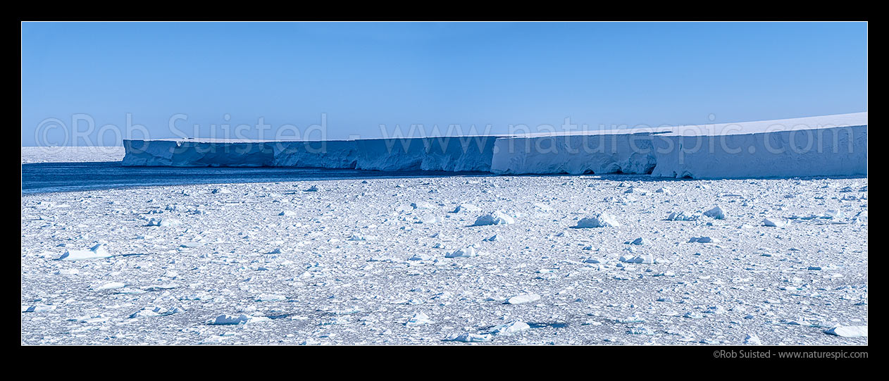 Image of Drygalski Ice Tongue terminal face, the floating glacier tongue up to 70km long and 24km wide. Fresh brash ice litters foreground from major ice collapse. Panorama, Ross Sea, Antarctica Region, Antarctica stock photo image