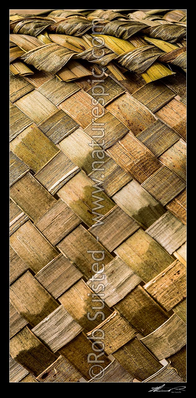 Image of Maori flax weaving. Flax (Harakeke) leaves and fibre are woven in traditional process to create items of use. Criss cross weave, New Zealand (NZ) stock photo image