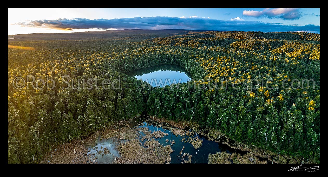 Image of Lake Rotokura Ecological Reserve and beech forest, tapu, or sacred, to Ngati Rangi, on the flanks of Mt Ruapehu. Lake Rotokura and Dry Lake. Aerial panorama at sunset, Rangataua, Ruapehu District, Manawatu-Wanganui Region, New Zealand (NZ) stock photo image