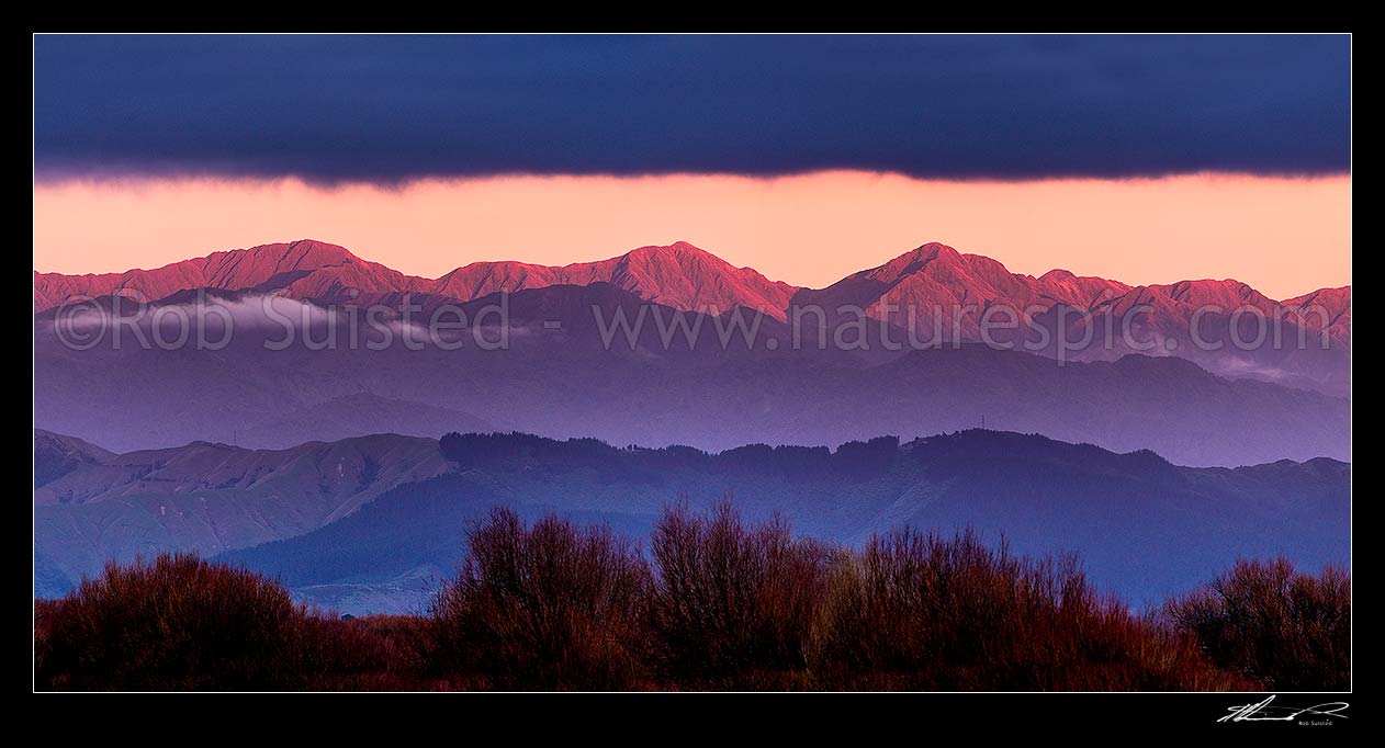 Image of Tararua Ranges seen at dusk with the last light of day lighting the main range. Tararua Forest Park. Seen from near Foxton. Panorama, Foxton, Horowhenua District, Manawatu-Wanganui Region, New Zealand (NZ) stock photo image