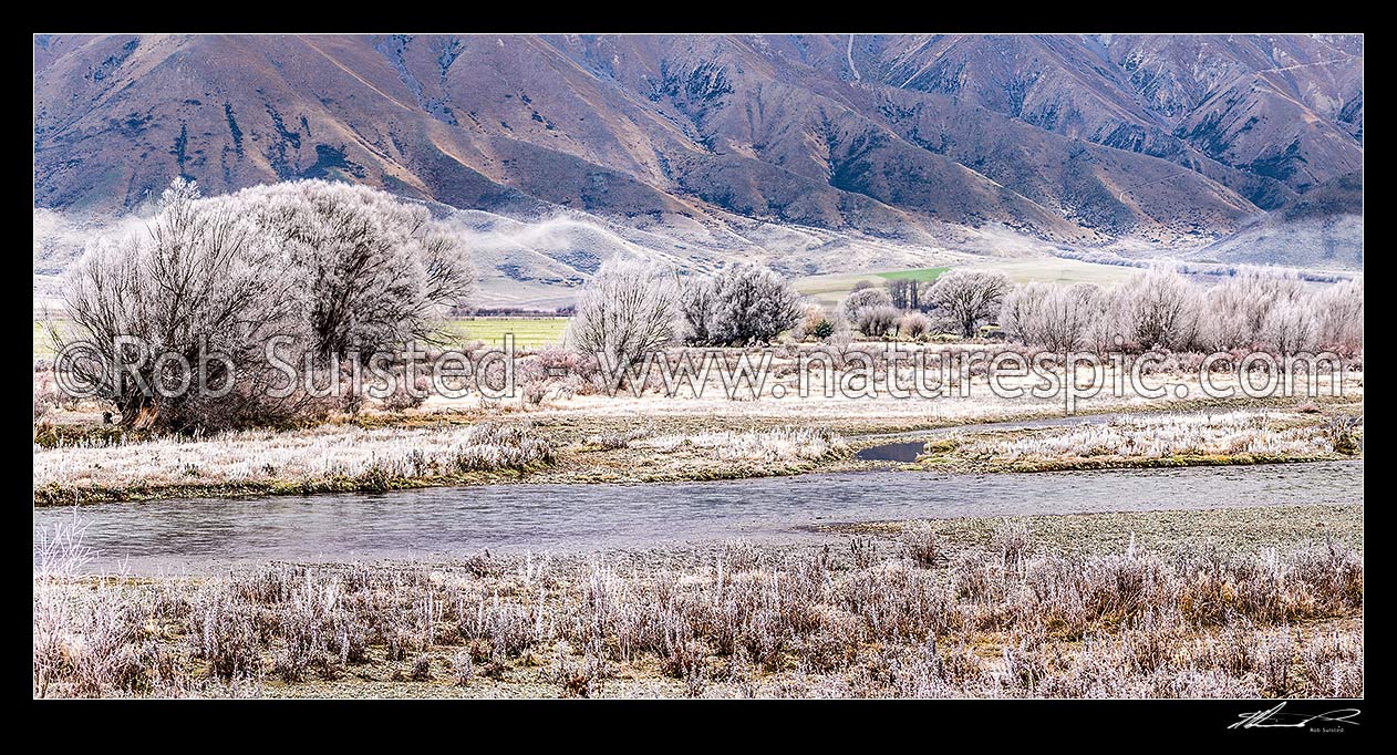 Image of Ahuriri River flats under heavy winter frosts. Benmore Range behind. Hoar frost. Panorama, Omarama, Waitaki District, Canterbury Region, New Zealand (NZ) stock photo image