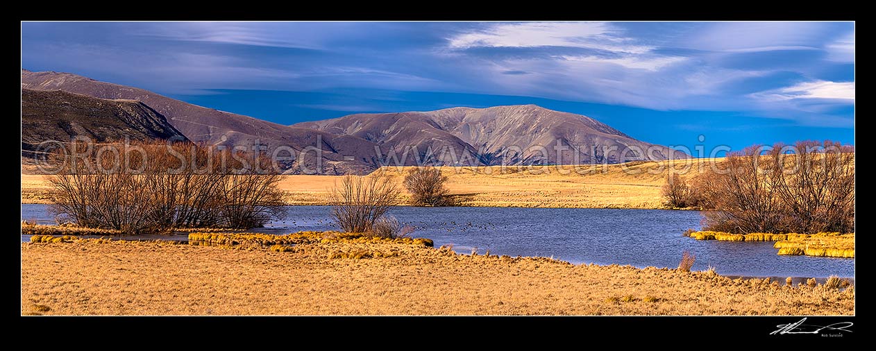 Image of Ben Avon Scenic Reserve lake and wetlands in the upper Ahuriri River Valley. Waterfowl on water. Diadem Range behind. Ben Avon Station. Panorama, Ahuriri River, Waitaki District, Canterbury Region, New Zealand (NZ) stock photo image