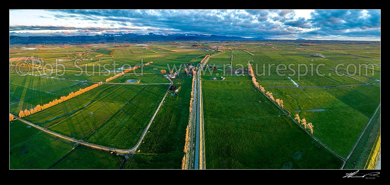 Image of Dairying farmland on the Manawatu River plains near Moutoa. Kere Kere Road. Tararua Ranges behind. Aerial panorama, Shannon, Horowhenua District, Manawatu-Wanganui Region, New Zealand (NZ) stock photo image