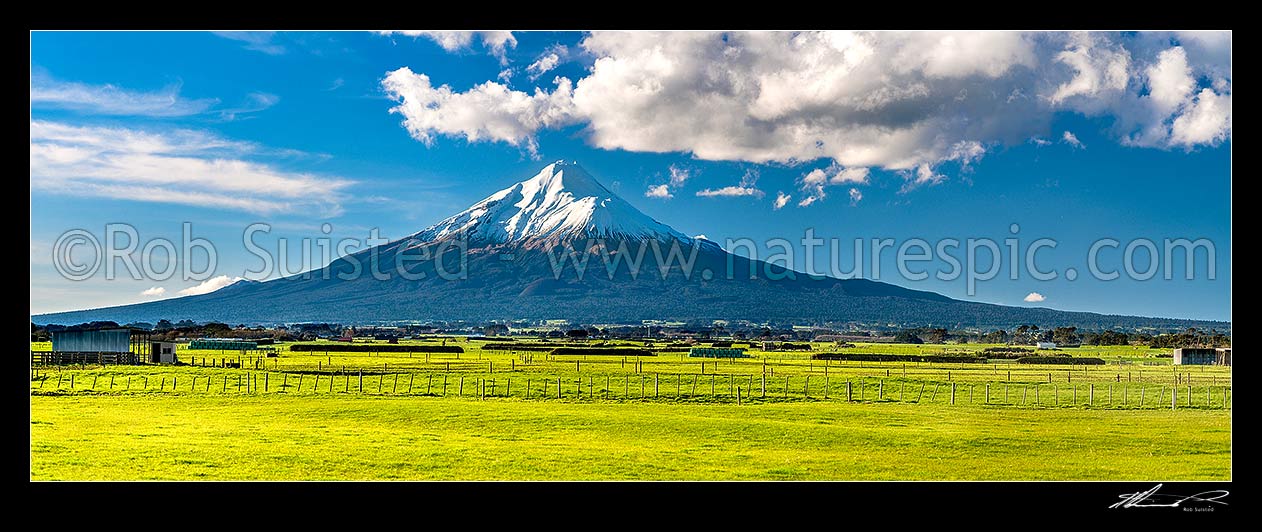 Image of Mt Taranaki (2518m) standing in the Egmont National Park, beyond dairy farmland. Panorama, Opunake, South Taranaki District, Taranaki Region, New Zealand (NZ) stock photo image