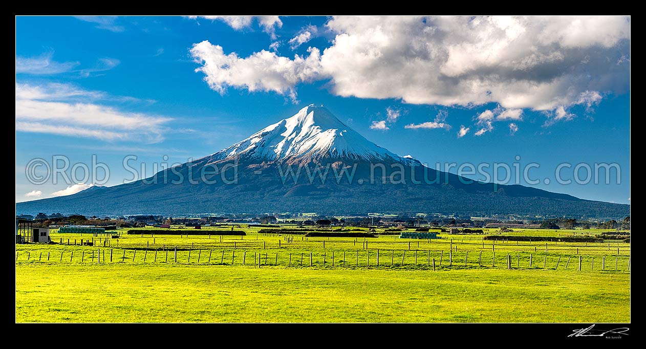 Image of Mt Taranaki (2518m) standing in the Egmont National Park, beyond dairy farmland. Panorama, Opunake, South Taranaki District, Taranaki Region, New Zealand (NZ) stock photo image