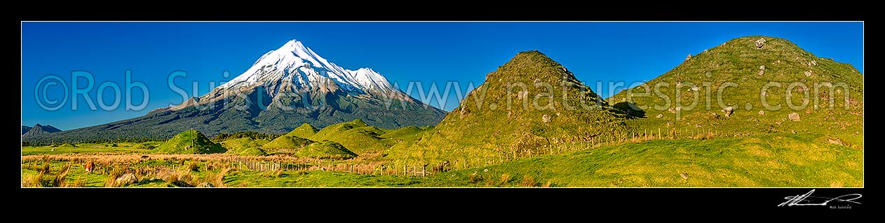 Image of Mt Taranaki (2518m), Fanthams Peak (1966m), and Egmont National Park, high above farmland with distinctive hillocks and mounds. Panorama, Rahotu, South Taranaki District, Taranaki Region, New Zealand (NZ) stock photo image