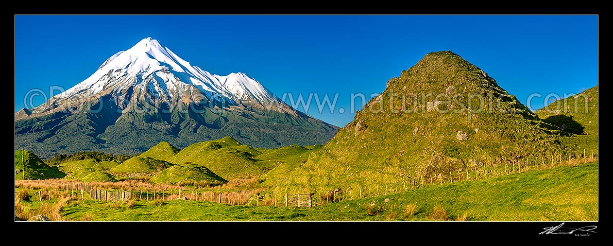 Image of Mt Taranaki (2518m), Fanthams Peak (1966m), and Egmont National Park, high above farmland with distinctive hillocks and mounds. Panorama, Rahotu, South Taranaki District, Taranaki Region, New Zealand (NZ) stock photo image