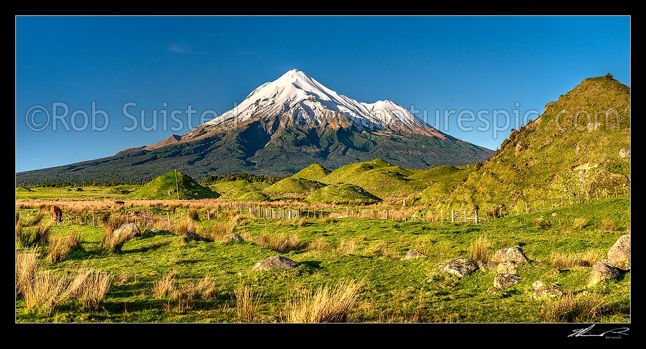 Image of Mt Taranaki (2518m), Fanthams Peak (1966m), and Egmont National Park, high above farmland with distinctive hillocks and mounds. Panorama, Rahotu, South Taranaki District, Taranaki Region, New Zealand (NZ) stock photo image