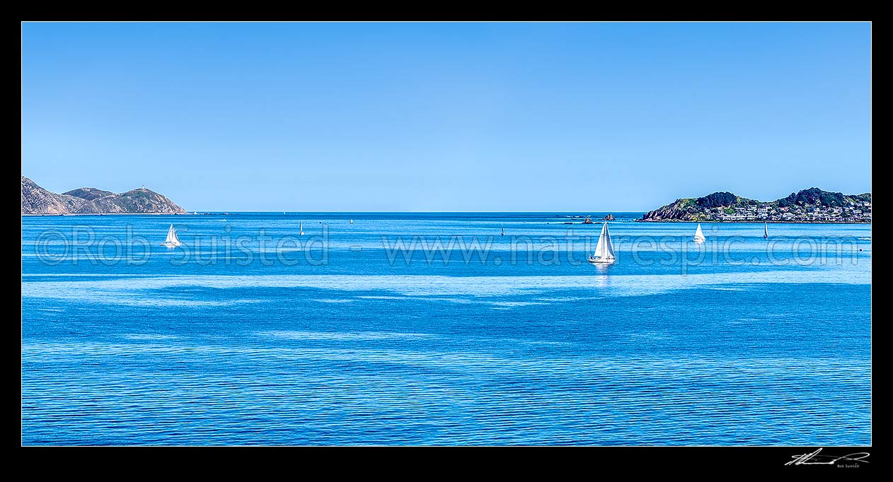 Image of Wellington Harbour entrance or harbour mouth, with Pencarrow Head lighthouses at left, Seatoun, Point Dorest and Barrett Reef right. Panorama with sailboats out on calm day, Wellington Harbour, Wellington City District, Wellington Region, New Zealand (NZ) stock photo image