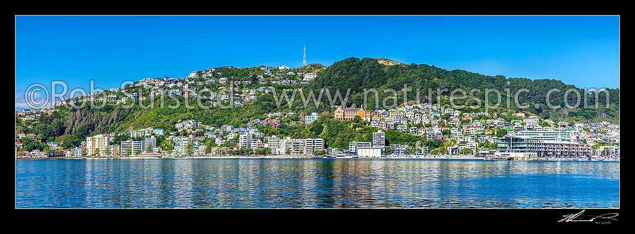 Image of Wellington City panorama of Oriental Bay and Mount Victoria. St Gerards Monastry centre right. Iconic view of well known Welligton suburb, Wellington Harbour, Wellington City District, Wellington Region, New Zealand (NZ) stock photo image