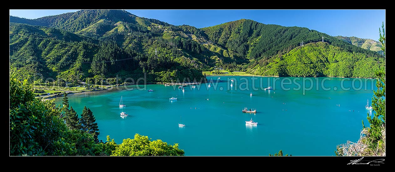 Image of Oyster Bay, with boats and mussel harvesting barges in Port Underwood. Hakahaka Bay beyond. Panorama, Port Underwood, Marlborough District, Marlborough Region, New Zealand (NZ) stock photo image