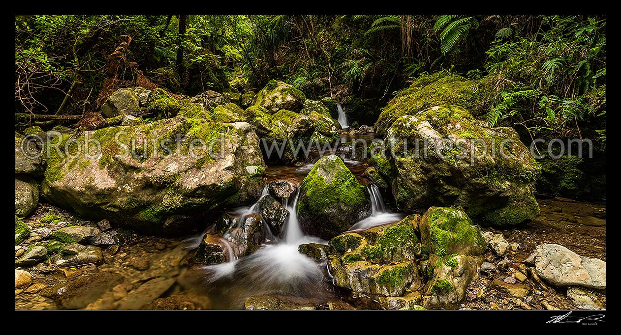 Image of Remutaka (Rimutaka) Forest side creek. Little Huia Creek in lush native forest. Panorama, Remutaka Range, Wainuiomata, Hutt City District, Wellington Region, New Zealand (NZ) stock photo image