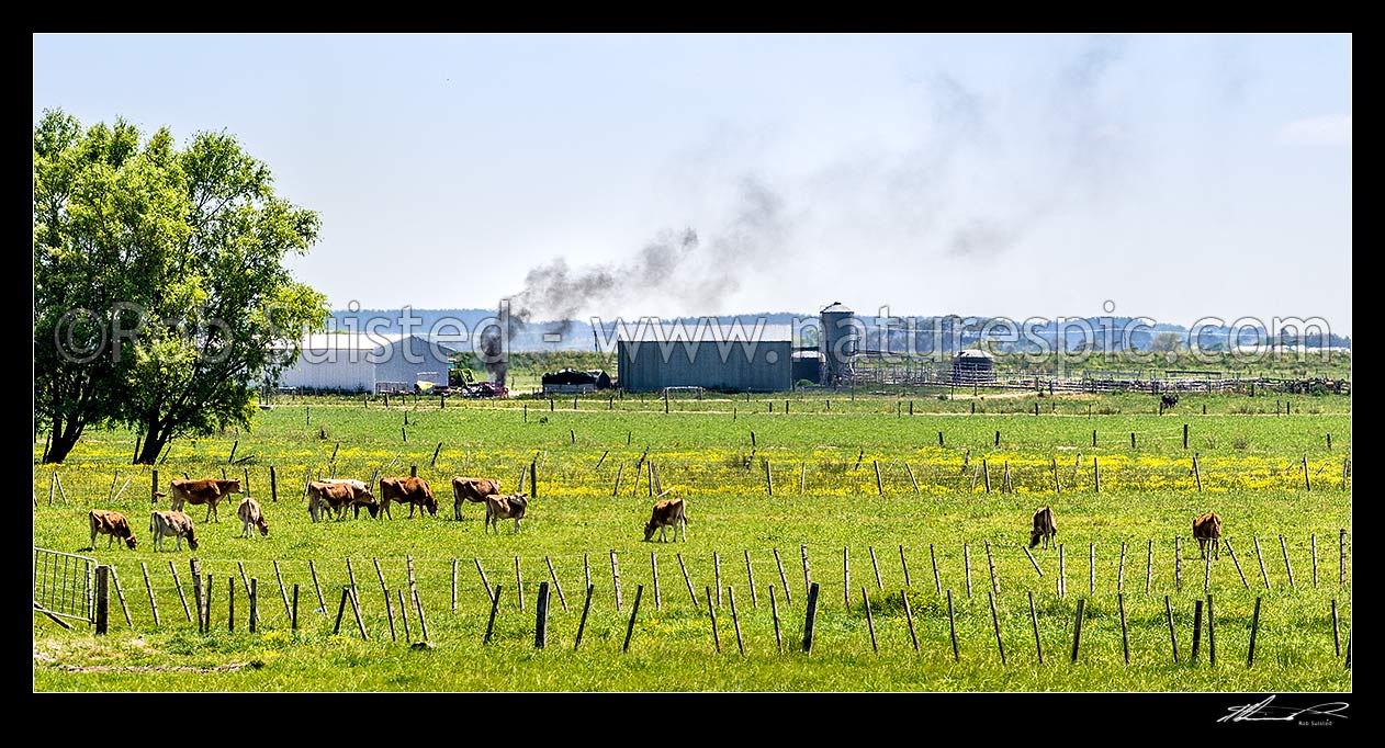 Image of Plastic wrapping from silage storage being burned on a dairy farm creating thick black smoke. A practice used by some farmers to dispose of plastic, instead of recycling. Panorama, Horowhenua District, Manawatu-Wanganui Region, New Zealand (NZ) stock photo image