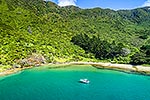 Cannibal Cove, Marlborough Sounds