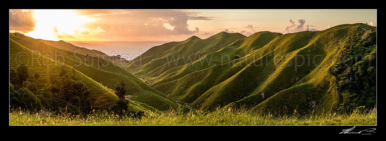 Image of Coastal farmland sunset in the Waikato. Rolling hills and stream with soft golden light defining ridgelines. Panorama, Marokopa, Waitomo District, Waikato Region, New Zealand (NZ) stock photo image