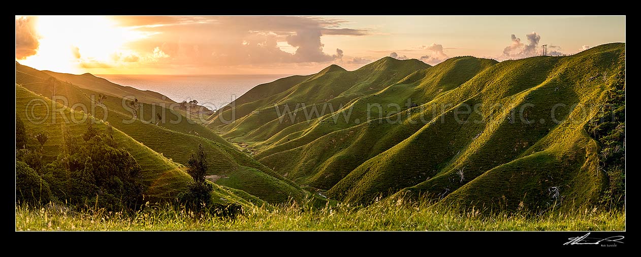 Image of Coastal farmland sunset in the Waikato. Rolling hills and stream with soft golden light defining ridgelines. Panorama, Marokopa, Waitomo District, Waikato Region, New Zealand (NZ) stock photo image