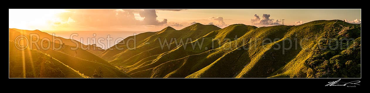 Image of Golden lush farmland lit by coastal sunset. Rolling hills and pasture running down to small stream. Panorama, Marokopa, Waitomo District, Waikato Region, New Zealand (NZ) stock photo image