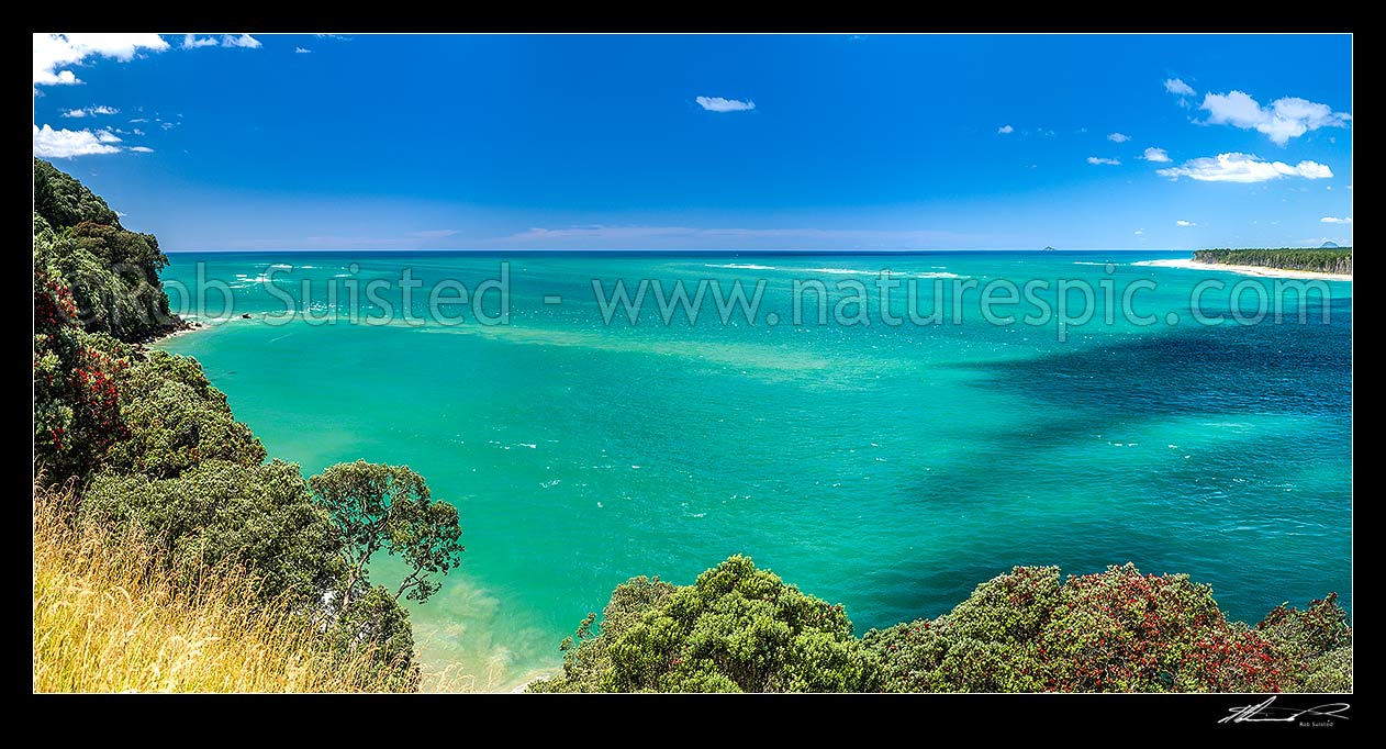 Image of Tauranga Harbour at Katikati entrance from Papatu Point Pa site and Bowentown Heads. Matakana Island right. Flowering pohutukawa tree forest (Metrosideros excelsa). Panorama, Bowentown, Waihi Beach, Western Bay of Plenty District, Bay of Plenty Region, New Zealand (NZ) stock photo image