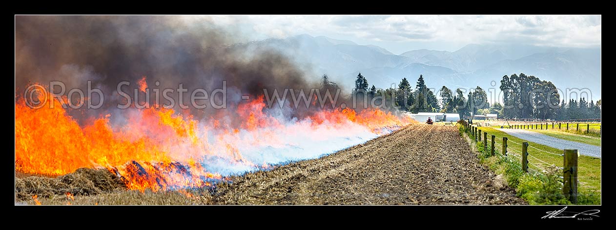 Image of Wheat stubble burning off fire being lit post harvest by farmers travelling on quab bike ATV, to clear paddock for next crop rotation. Panorama, Methven, Ashburton District, Canterbury Region, New Zealand (NZ) stock photo image