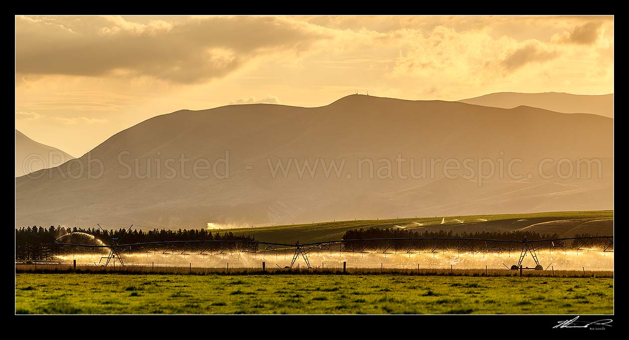 Image of Pivot Irrigator irrigating in the MacKenzie Basin high country at sunset. Panorama, Omarama, MacKenzie District, Canterbury Region, New Zealand (NZ) stock photo image