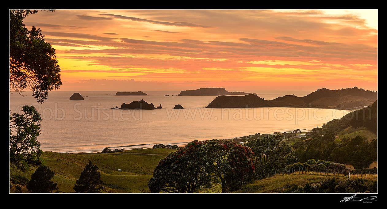 Image of Opito Bay and Beach sunrise panorama. Opito Point, Historic Reserve and Rabbit Island centre, with Ohinau and Ohinauiti Islands behind, Opito Bay, Coromandel Peninsula, Thames-Coromandel District, Waikato Region, New Zealand (NZ) stock photo image