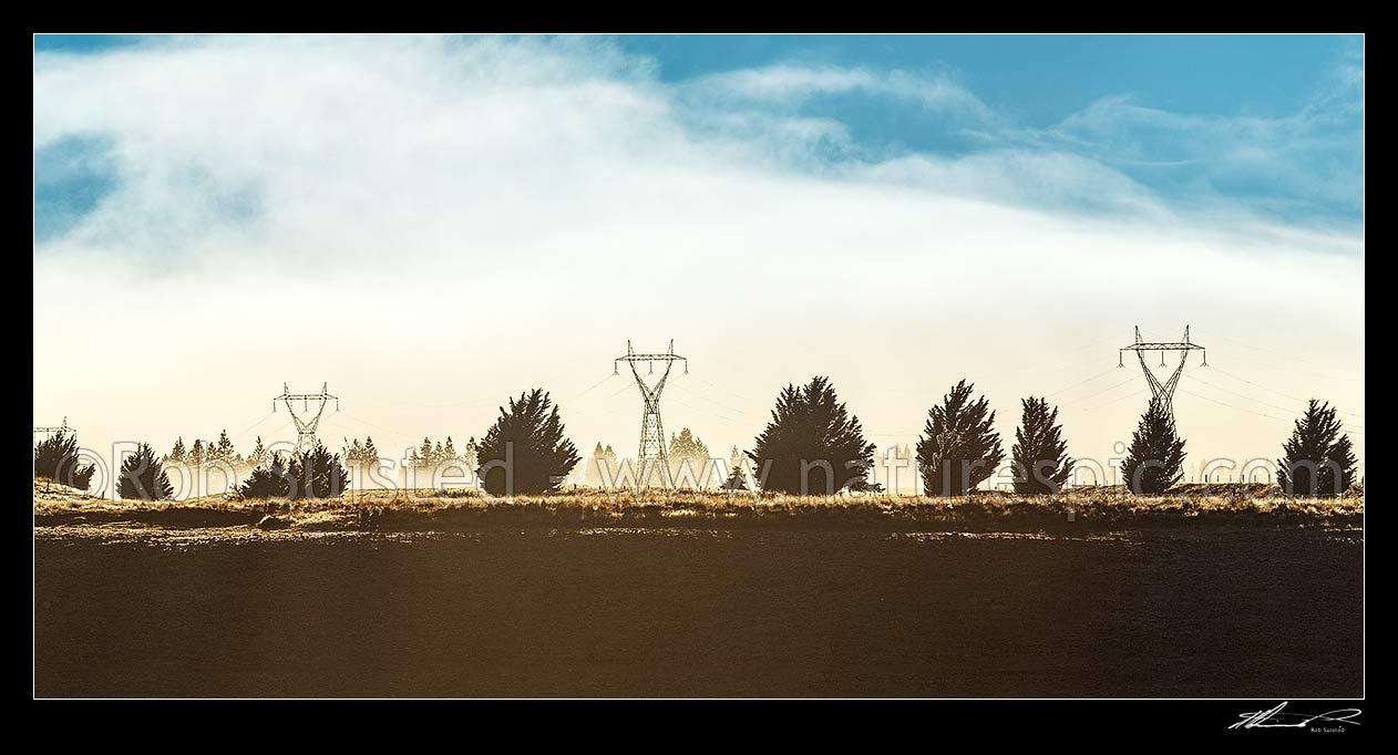 Image of MacKenzie Basin moody dawn mist shrouding electricity power pylons and wilding pines. Panorama, Tekapo, MacKenzie District, Canterbury Region, New Zealand (NZ) stock photo image