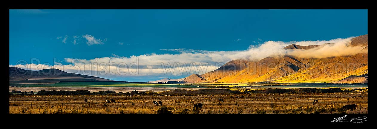 Image of Farming in the Waitaki headwaters MacKenzie Basin, with evening sunlight, looking towards Twizel from Omarama. Panorama, Omarama, Waitaki District, Canterbury Region, New Zealand (NZ) stock photo image