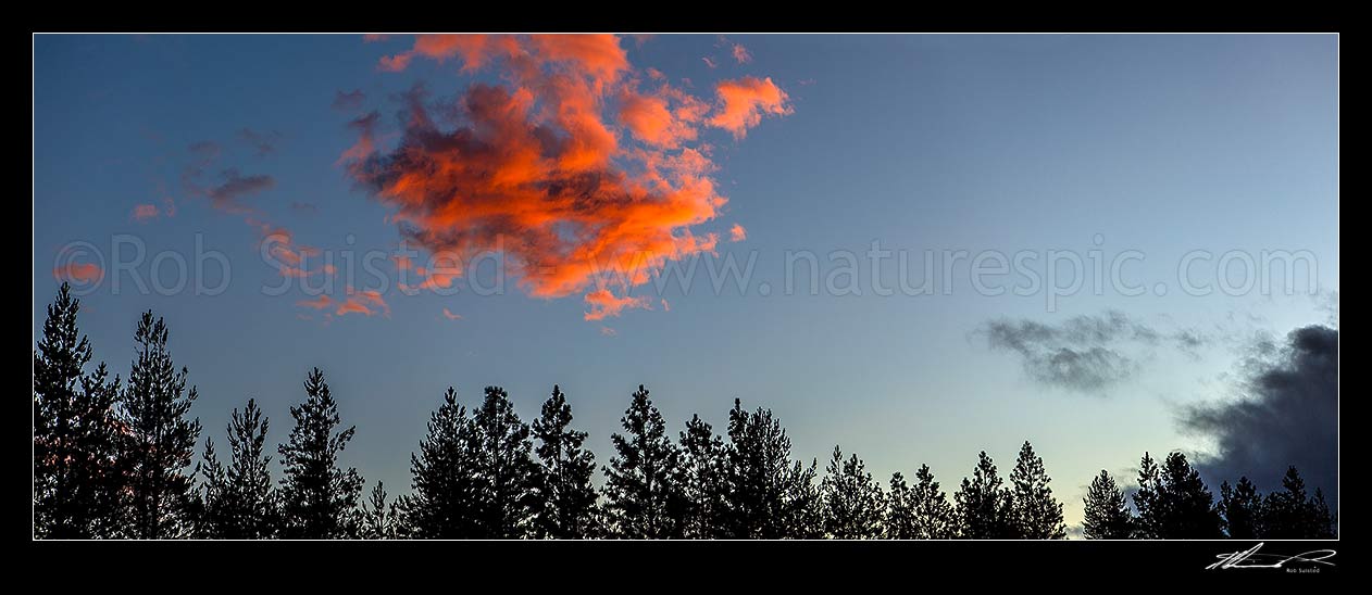 Image of Omarama high country sunset with sunlight illuminating clouds overhead in a firey orange. Panorama, Omarama, Waitaki District, Canterbury Region, New Zealand (NZ) stock photo image