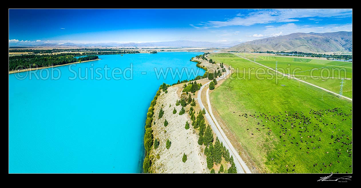 Image of Irrigated dairy pasture in the MacKenzie basin. Pivot irrigators and diary cows grazing near Lake Ruataniwha. Aerial panorama, Twizel, MacKenzie District, Canterbury Region, New Zealand (NZ) stock photo image