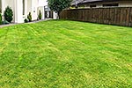 House grass lawn