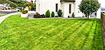 House grass lawn