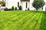 House grass lawn