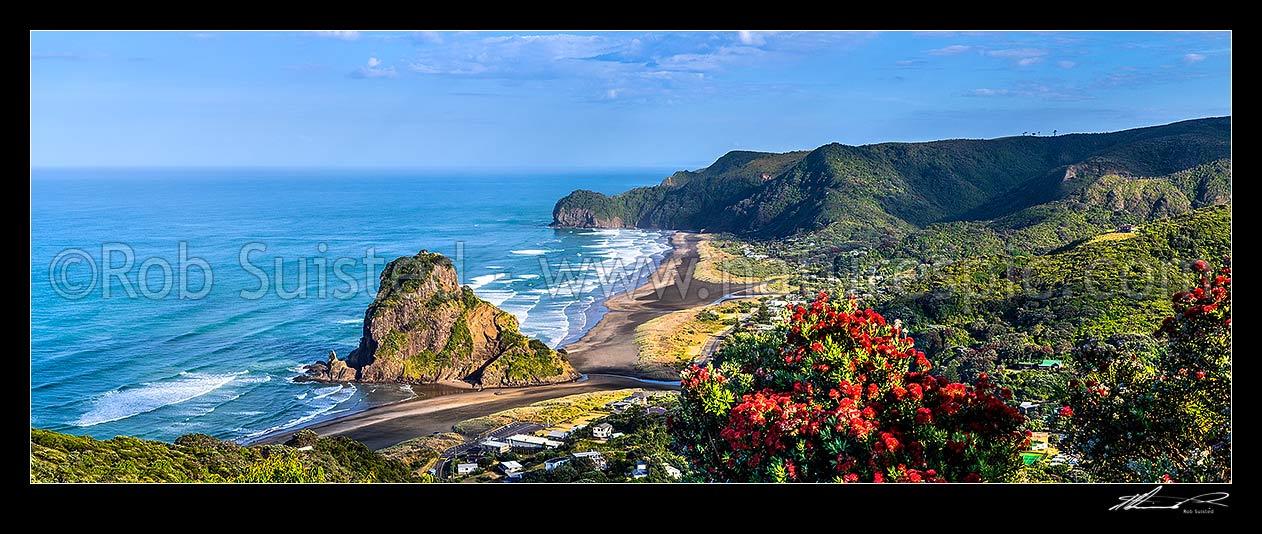 Image of Piha Beach village and iconic Lion Rock, with North Piha Beach, Kohunui Bay, and Te Waha Point beyond. Auckland West Coast and Waitakeres. Flowering pohutukawa tree. Panorama, Piha Beach, Waitakere City District, Auckland Region, New Zealand (NZ) stock photo image