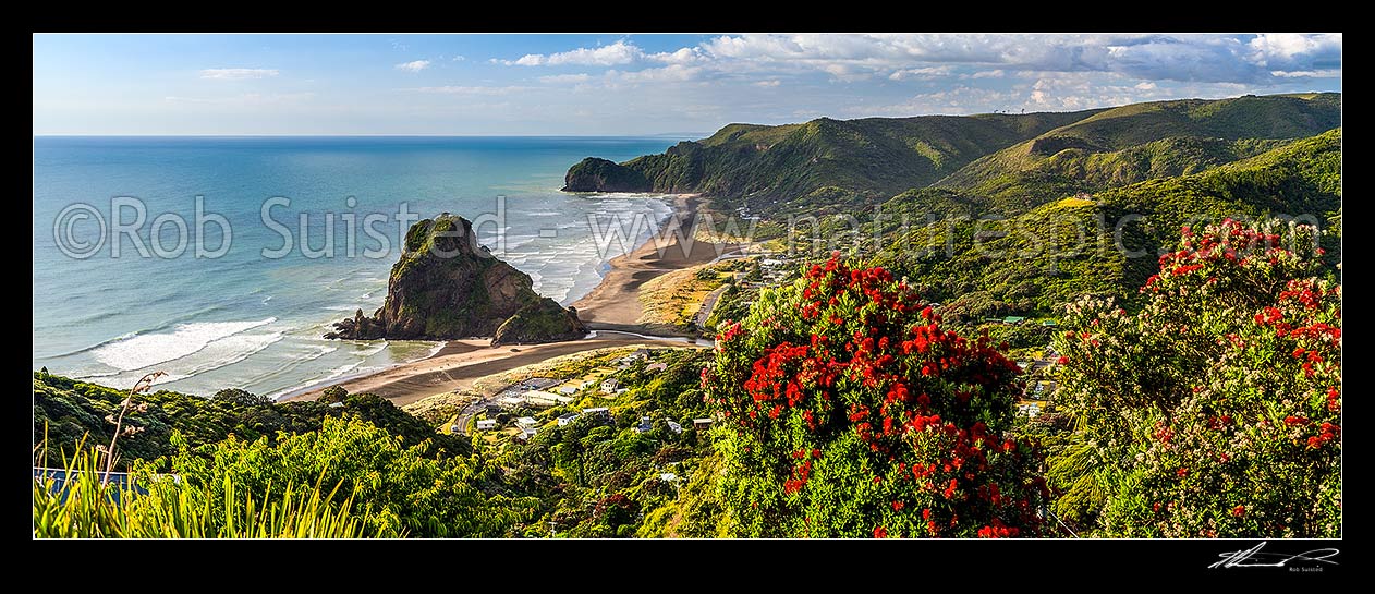 Image of Piha Beach, village, and iconic Lion Rock, with North Piha Beach and Te Waha Point beyond. Auckland West Coast and Waitakere Ranges. Flowering Pohutukawa. Panorama, Piha Beach, Waitakere City District, Auckland Region, New Zealand (NZ) stock photo image