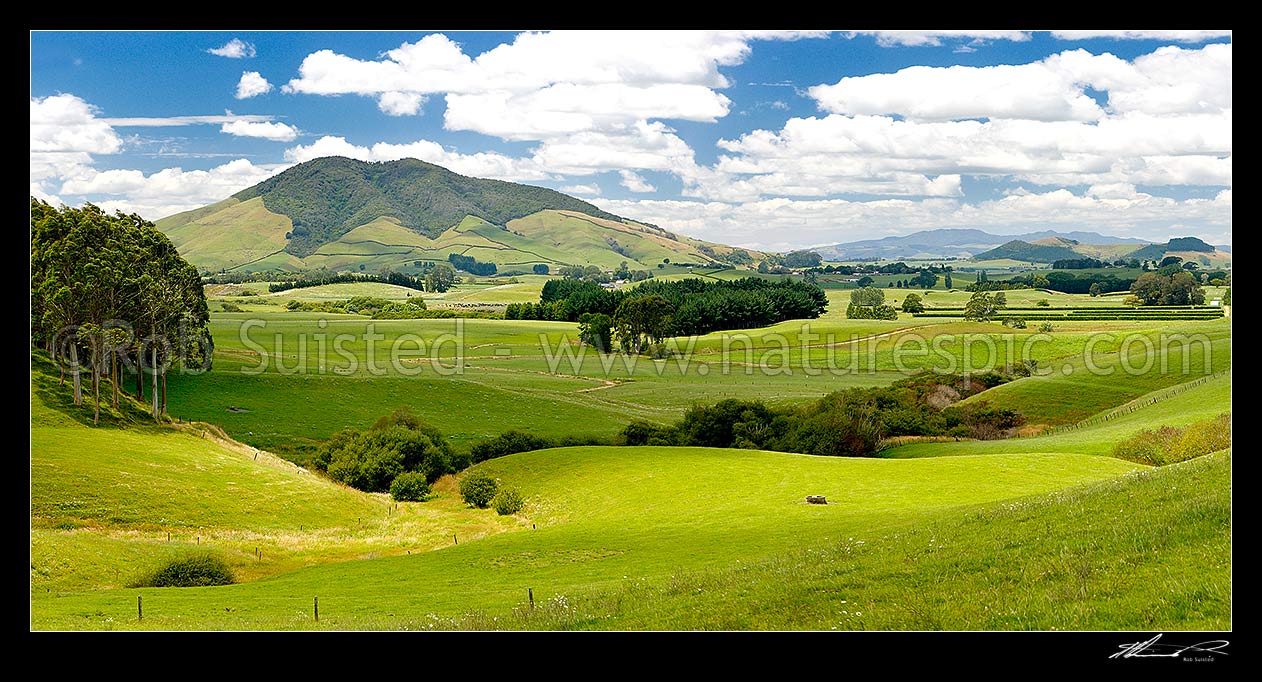 Image of Waikato dairy farmland by the Waipa River, with Mount Kakepuku (left), and Te Kawa (right). Maungatautari beyond. Panorama, Tihiroa, Otorohanga District, Waikato Region, New Zealand (NZ) stock photo image