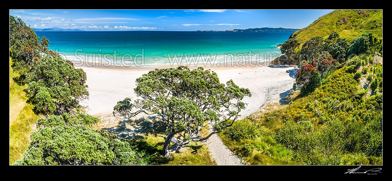 Image of Otama Beach and Otama Bay, with flowering Pohutukawa trees lining the foreshore. Mercury Islands behind. Aerial panorama, Otama Beach, Coromandel Peninsula, Thames-Coromandel District, Waikato Region, New Zealand (NZ) stock photo image